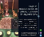 Гадалка Киев.  Гадание на картах Таро Киев.  Магия Царя Соломона Киев.  Снятие порчи Киев.  Приворот Киев.  Денежная магия Киев.  Обряды на любовь Киев.  Защита от сглаза Киев.  Открытие денежного кан ...
