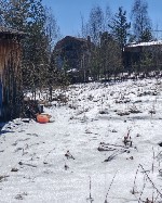 Загородная недвижимость объявление но. 4317108: Продается дачный участок с домом в г.  Советский