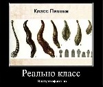 Для студентов объявление но. 3573981: Репетитор по биологии