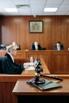 Национальная Юридическая Коллегия предлагает услуги по судебному представительству по административным делам.  Наши юристы помогут вам защитить ваши права и интересы в административных спорах.  
Преи ...