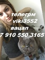 Интим-девушки, индивидуалки объявление но. 4392701: оседлаю наездницей