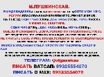 Интим-девушки, индивидуалки объявление но. 4270933: Очаровательная и полная страсти девушка.  Со мной тебе точно не будет скучно