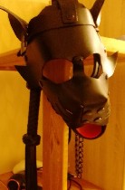 Разное объявление но. 4194871: Домина