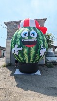 Надувные огромные фрукты — эффективный способ повысить видимость и узнаваемость торговой точки.  Они привлекают внимание издалека и помогают привлечь покупателей.  
Компания Аэроплюс изготавливает та ...