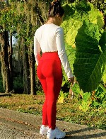 Интим-девушки, индивидуалки объявление но. 3904771: Гермиона