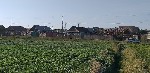 Продам участок объявление но. 4406864: Продаются земельные участки 5 га (ИЖС)
