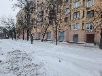Сдам в аренду помещение объявление но. 3359594: Сдается в аренду торговое помещение 250 м2 в САО