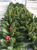 Разное объявление но. 3383053: Ёлочная хвоя,  гирлянда 2.7 метр густая.  Доставка