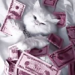 Работа без выезда – только в апартаментах.  Гарантируем высокий доход и комфортные условия для тех,  кто готов зарабатывать и строить достойную жизнь.  

Что мы предлагаем:  

- Полная анонимность ...