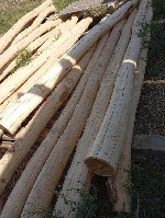 Акация.  Карагач.  Производитель предлагает производство и поставку пиломатериалов из твердых пород кавказкого региона:  
-доска необрезная;  
-брус массив;  
-кругляк;  

Акация окоренное бревно ...