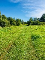 Продам участок объявление но. 4331028: Продаем 22 земельных участка под поселок на Волге