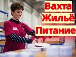 🦠Приглашаем женщин,  мужчин на вахту.  принимаем сотрудников без опыта работы и с опытом.  оплата 3000 руб.  за смену.  звони сейчас! 

🦠У НАС ТЫ ПОЛУЧИШЬ:  
- питание - комплексный обед 
- беспла ...