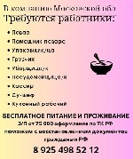 Разное объявление но. 3203280: Требуються работники