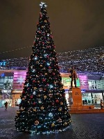 Разное объявление но. 3373845: Большая ёлка,  президентская ёлка от производителя,  от 5 м до 30 метров