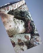 Встречусь за ваше МП (5000час + такси в обе стороны),  так же я с МЕСТОМ.  
Территориально метро 🚇 Дунайская.  
О себе:  23.167.55/17 см 
Связаться со мной можно в ТГ:  @Fomin_2912,  а так же в ват ...