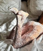 Эротический массаж объявление но. 4250757: 🎁Приветик,  мои истинные любители магического массажа.  Я точно смогу сделать твою палочку волшебной 🎁