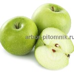 Растения объявление но. 4042725: Саженцы яблони из питомника,  с доставкой и посадкой по низкой цене