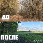 Ремонт, строительство объявление но. 4241305: Расчистка территорий от деревьев и пней от 1 Га