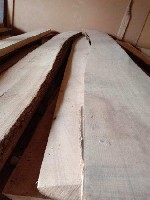 Строительные материалы объявление но. 3559944: Дуб,  ясень,  карагач,  акация,  доска,  брус оптом.