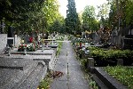 Компания «Monument.  Moscow» осуществляет деятельность с 2016 года и занимается производством памятников,  памятных плит и комплексных решений «под ключ».  Основные услуги — создание изделий из каменн ...