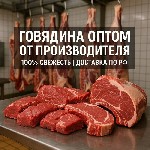 Свежая премиальная говядина каждый день!

Полная обвалка;  

Частичная обвалка;  

Разделка по желанию;  

Субпродукты.  

Наша продукция экологически-чистая,  обладающая превосходными вкусо ...