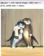 Дама,  мне 45 лет,  приглашусь мужчиной для досуга в разных сферах и мероприятиях.  .  .  .  платно ,  смотря куда пригласишь.  .  От гостиницы до театра и ресторана.  Буду твоей спутницей на час два  ...