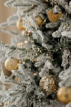 Разное объявление но. 3382890: Ёлка северная 1 (new2023) ,  фото настоящее ,  доставка