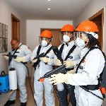 Бытовые услуги объявление но. 3616049: Комплексная дезинфекция и дератизация под ключ — без риска для здоровья