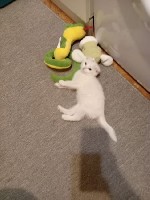 Познакомлюсь симпатичный не манерный 29 лет рост 162 вес 62 ...