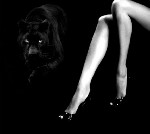 Ищем девушек на вакансию мастер релакс-программ.  Без интима! Стабильно высокая зп!
Дополнительный заработок на консумации.  Иногородним предоставляется жилье и компенсируется полностью дорога.  Обуч ...