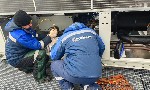 СК Градиент выполняет замену винтовых компрессоров на промышленных чиллерах и холодильных машинах.  Работаем с компрессорами Bitzer,  Ref comp,  Hanbell,  Fusheng.  Подбираем оборудование по параметра ...