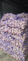Продукты питания объявление но. 4486866: Поставка алтайских овощей из современных картофелехранилищ