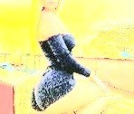 Интим-девушки, индивидуалки объявление но. 4294486: Спермоглотка