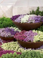 Разное объявление но. 4337918: Время украшать сад и огород:  крепкая рассада для отличного урожая!