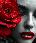 Дорогие девушки ,  от 18 до 35 лет,  приглашаем вас на
высокооплачиваемую работу.  Предлагаем работу на апартаментах,  в центральных районах города.  В апартаментах находитесь одна.  Предоставляется  ...