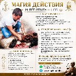 Ищете надёжного колдуна в КАЗАНИ?
Более 19 лет опыта и сотни благодарных клиентов.  

Просмотр и диагностика — БЕСПЛАТНО.  
79051767701
WHATSAPP
Telegram:  @fehu8888

Гарантирую результат Хват ...