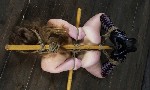 Парень, ищу девушку объявление но. 4265931: Ищу рабыню