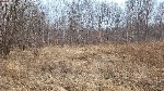 Продам участок объявление но. 4375141: Продается земельный участок в Надеждинском районе п.  Алексеевка