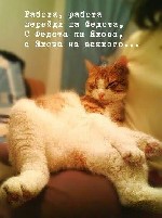 Девушка, ищу парня объявление но. 4291662: Пятница-развратница 8-911-992-97-30