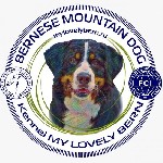 Бернский зенненхунд – это потомок крестьянских псов,  которые разводились в Швейцарии для охраны дома и помощи пастухам.  Он обладает спокойным,  уравновешенным характером.  

Щенки данной породы вы ...