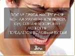 Девушка, ищу парня объявление но. 4218288: Разнообразие до безобразия 8-952-213-60-94