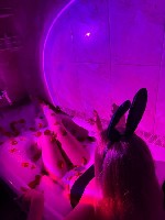 Эротический массаж объявление но. 3850931: Приветик,  милый💗