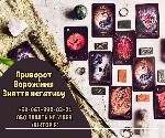 Замовити сильний приворот на кохання.  Зняття порчі та пристріту.  Обряди на повернення коханого.  Ворожіння на картах Таро.  Любовна магія.  Зняття проклять і вінця безшлюбності.  

У житті кожного ...