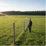 Строительные материалы объявление но. 4164539: Шарнирная сетка для фермеров и дорог (узловая,  лесная)