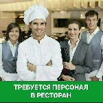 В сеть ресторанов японской кухни требуются:  оператор зала (прием заказов) Курьер с личным авто повара японской итальянской кухни паназиатской.  Бармены официанты Официальное трудоустройство 
+7959-1 ...