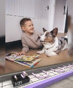 Строительные материалы объявление но. 4435144: Как продумать отопление частного дома