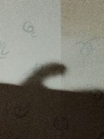 Парень, ищу девушку объявление но. 4249982: Ищу девушку