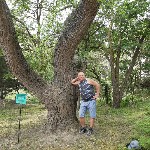 Парень, ищу девушку объявление но. 4395790: Интим на природе.