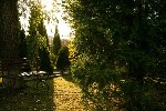 Предлагаем размещение в пансионате для пожилых людей с круглосуточным уходом и комфортными условиями проживания.  Подходит для самостоятельных пожилых людей,  лежачих больных и после операций.  
Мы — ...