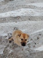 Эротический массаж объявление но. 4238987: Новенькая!!!!! Госпожа.  И не только.  29 ЛЕТ.  5000